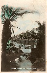 colomb bechar  (39)